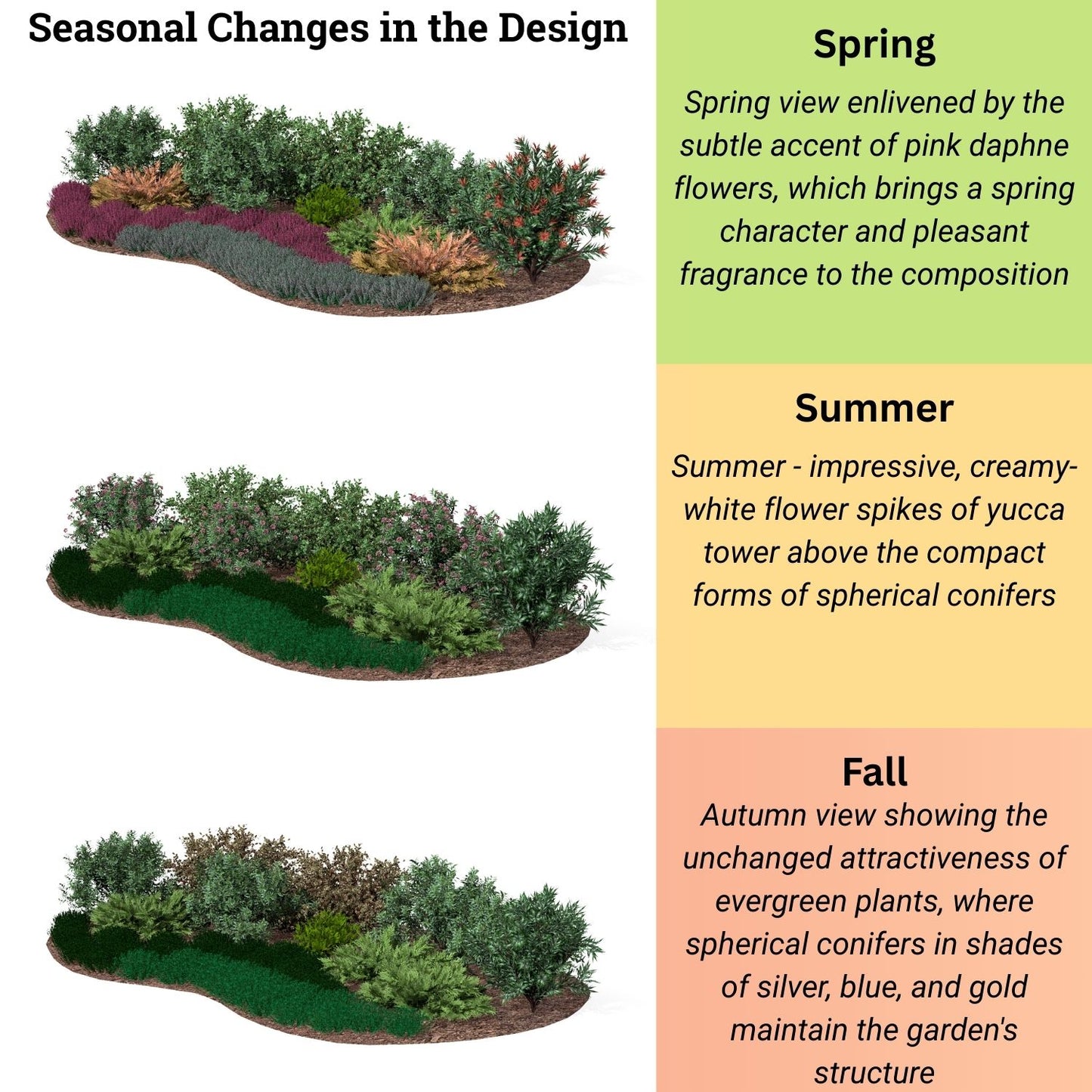 Blooming Heather Garden