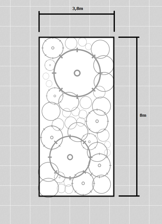 Garden bed plan with dimensions and plant placement