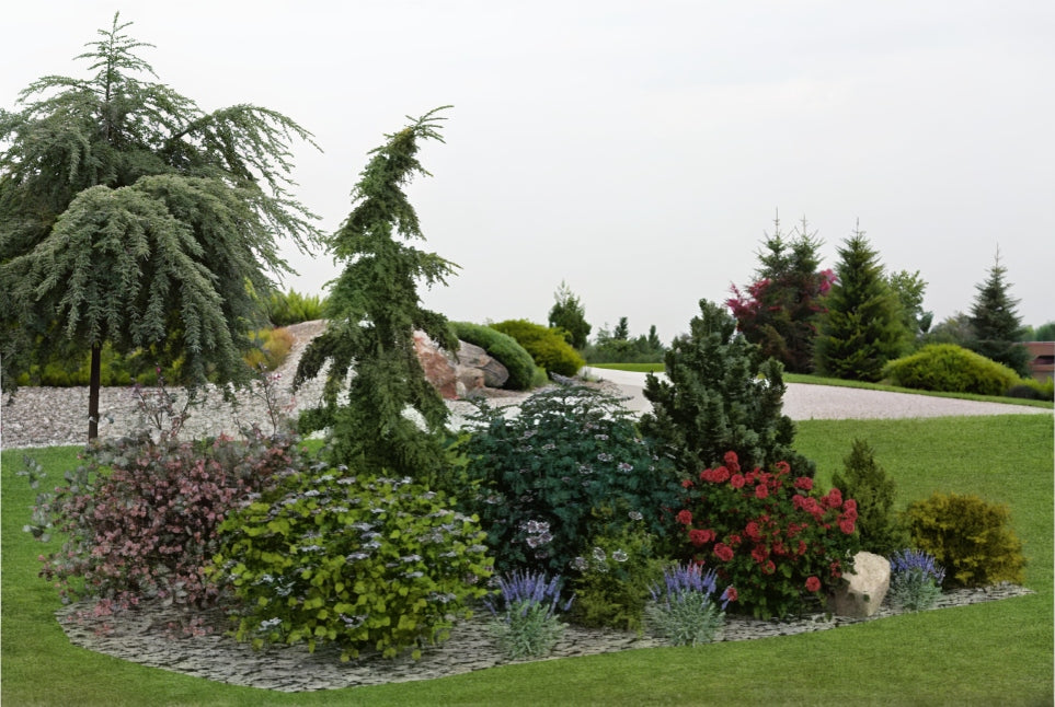 Floral Poetry - Elegant Hydrangea Border Garden