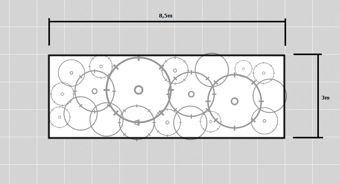 Year-Round Beauty: Spherical Evergreen Garden Design