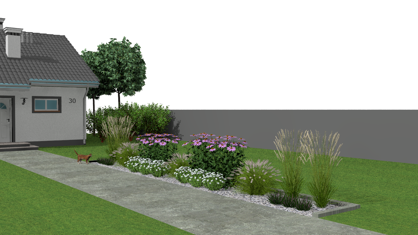 Sunny Enchantment - Ornamental Grasses and Perennials