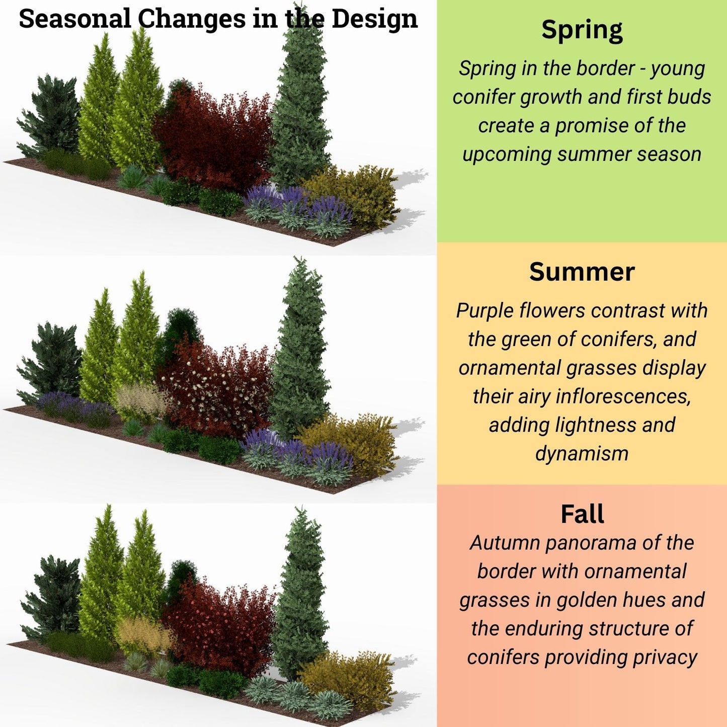 Evergreen Privacy Border: Needles & Colors