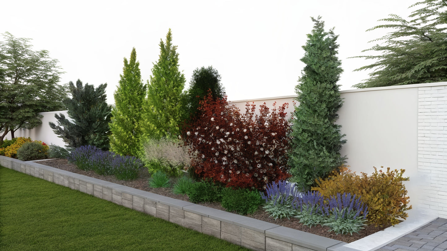 Evergreen Privacy Border: Needles & Colors