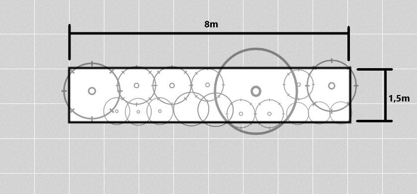 Evergreen Privacy Border: Needles & Colors