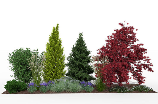 View of the garden bed at the height of the summer season