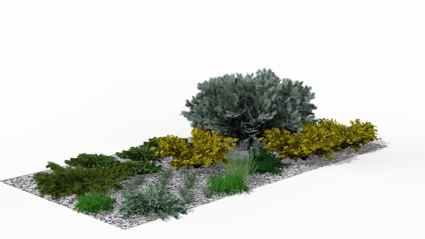 A sunny rockery with junipers in shades of gold and green, complemented by flowering perennials and aromatic herbs, awakens to life in spring