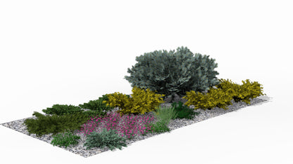 In the height of summer bloom, the rockery hums with life - pink flowers form a colorful carpet between golden junipers and the silvery spruce, while aromatic herbs add a sensory dimension to the composition