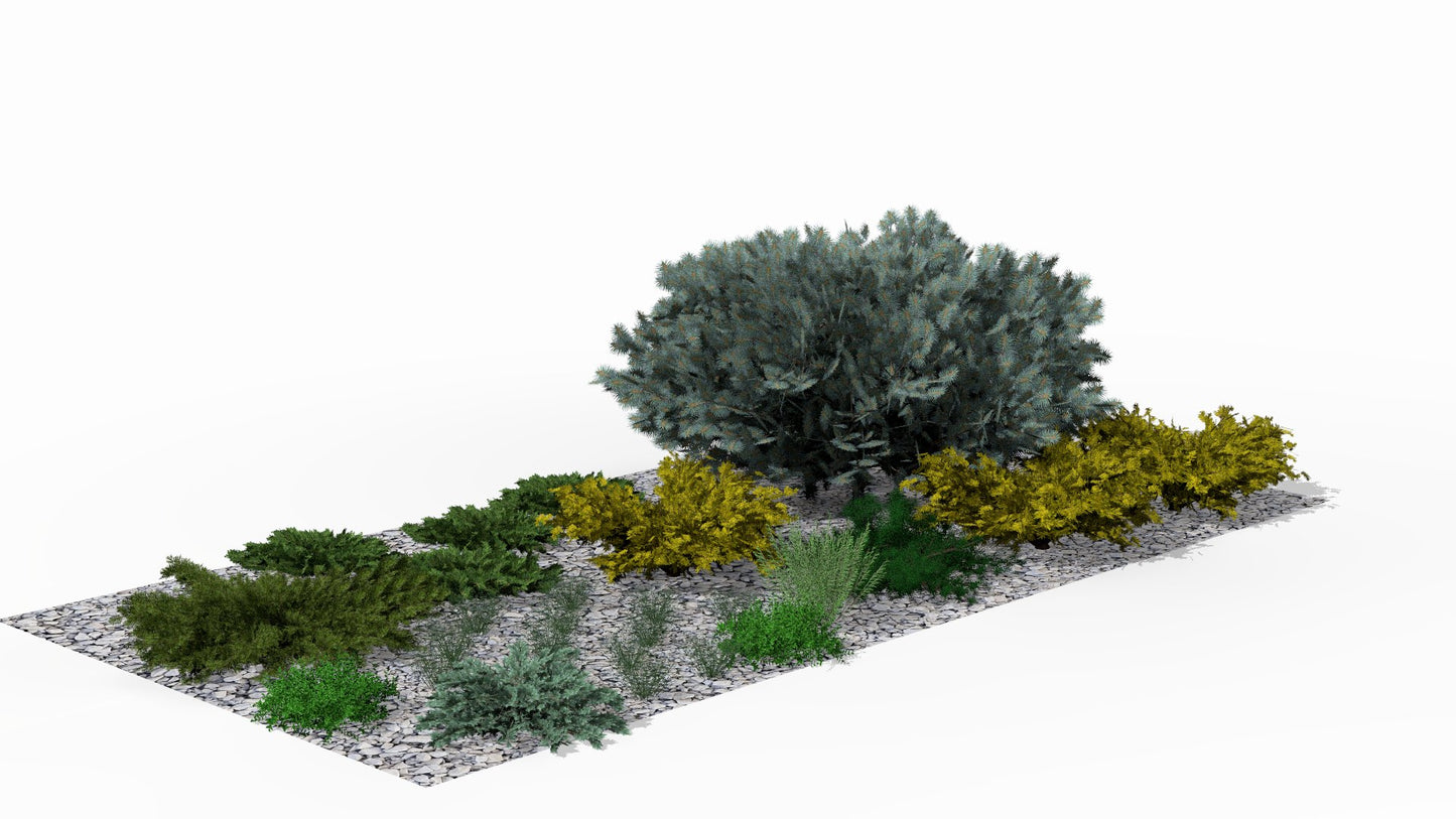 In autumn, the rockery delights with contrasting textures, where the silvery spruce towers above golden junipers and evergreen shrubs maintain a lasting structure after the summer perennials have finished blooming