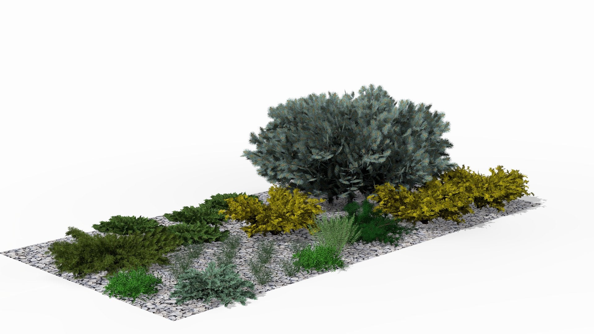 In autumn, the rockery delights with contrasting textures, where the silvery spruce towers above golden junipers and evergreen shrubs maintain a lasting structure after the summer perennials have finished blooming