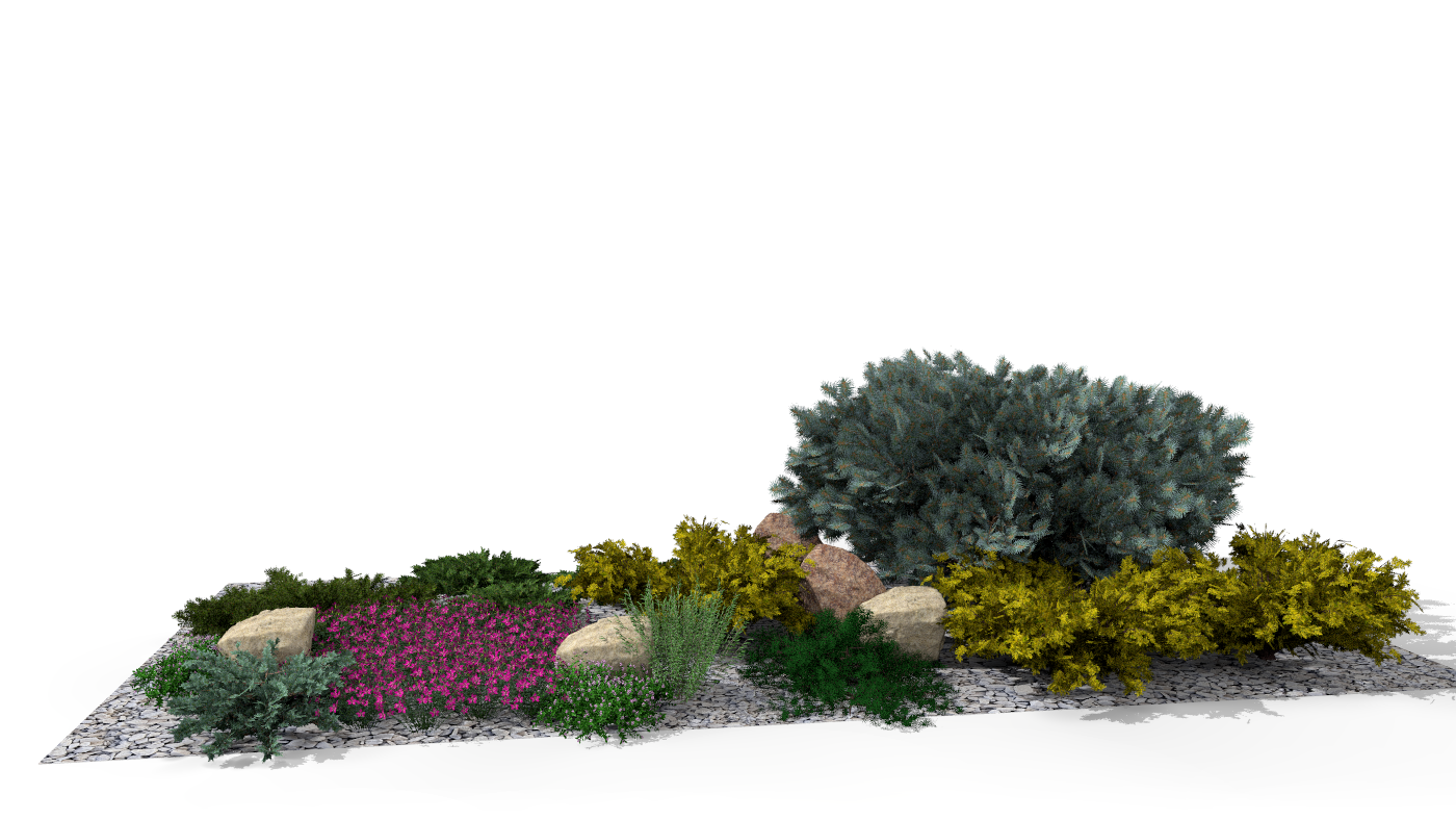 Sunny rock garden bed with contrasting evergreen plants and a cascade of flowering perennials on a gravel base