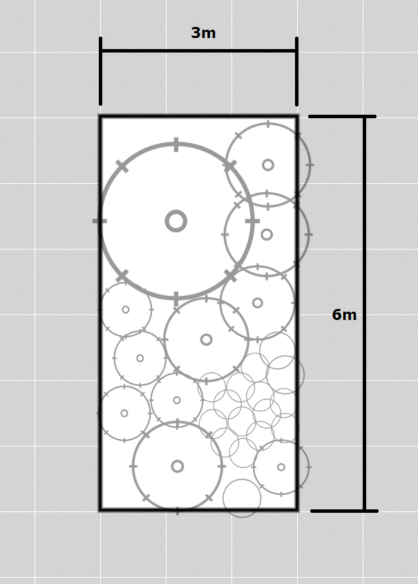 Garden bed plan with dimensions and plant placement.