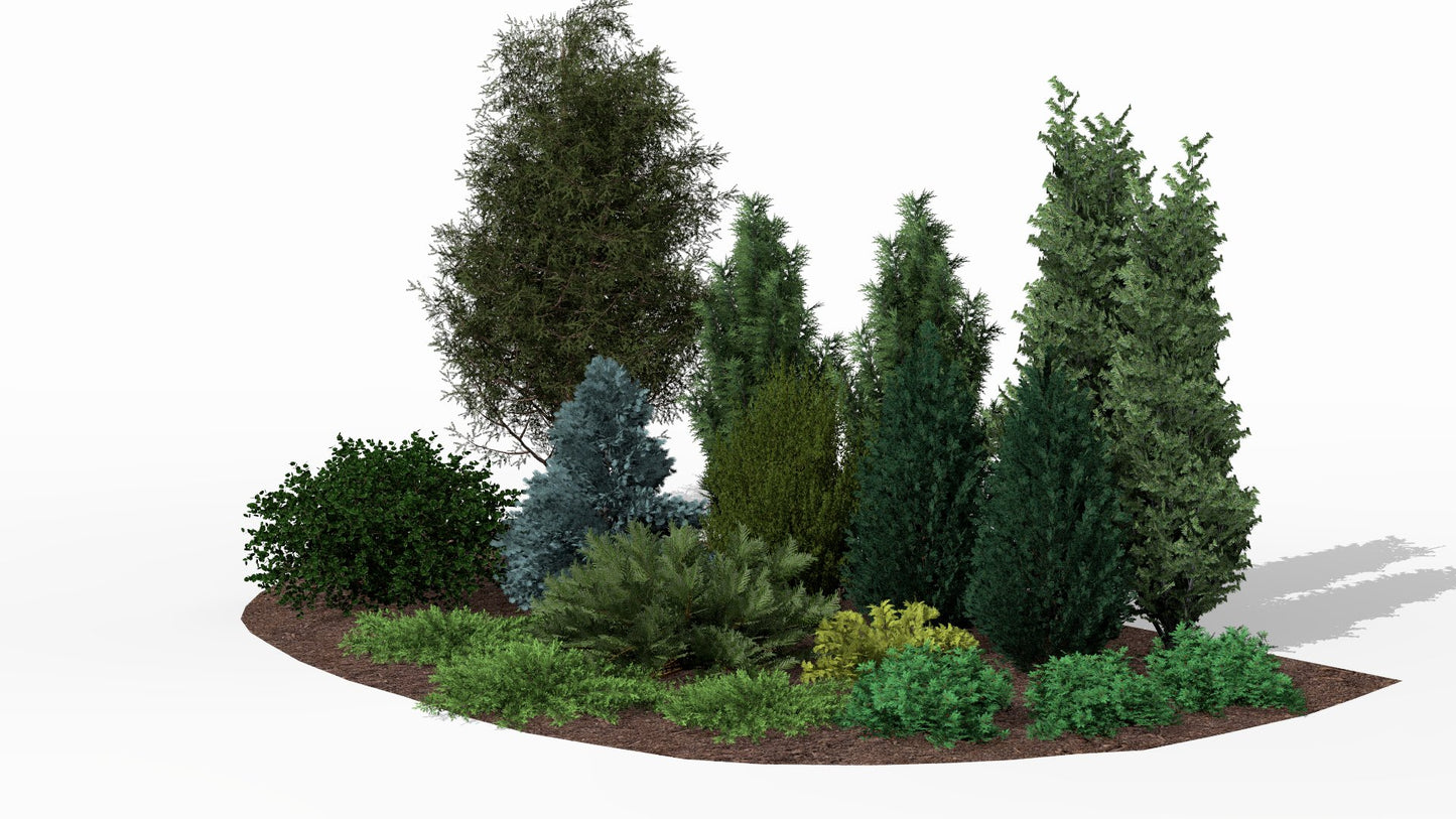 Spring visualization of the bed - lush, fresh green of yews, junipers, and barberries forms a harmonious composition with the delicate silvery accent of white fir