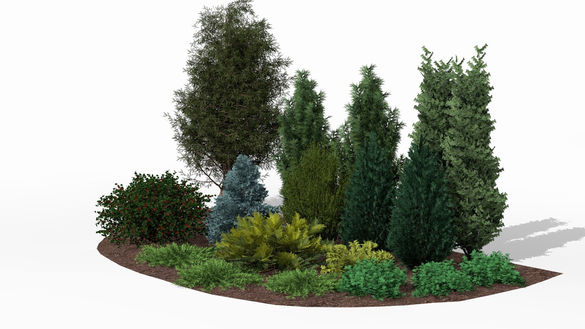 The composition in summer - intensely vivid colors with a clear contrast between dark green yew, columnar junipers, golden juniper, and red-flowering barberry create a rich color palette