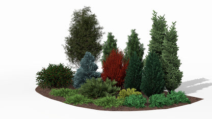 In autumn, among the evergreen conifers, a fiery barberry creates a spectacular color accent, breaking the dominance of green yews, junipers, and silvery fir in this multi-layered composition
