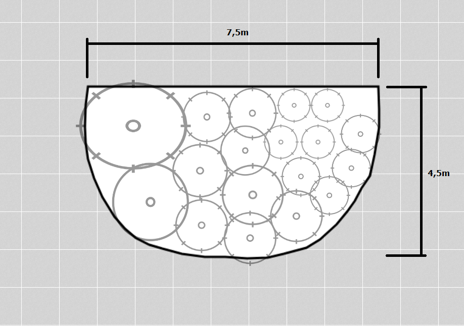 Garden bed plan with dimensions and plant placement