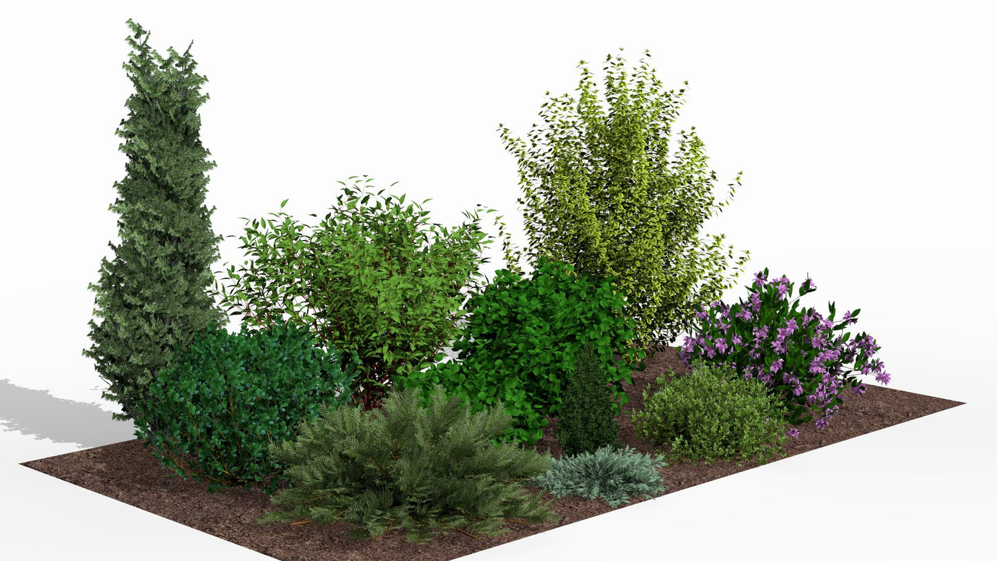The spring bed with bright green new growth and purple flowers awakens the garden after its winter sleep