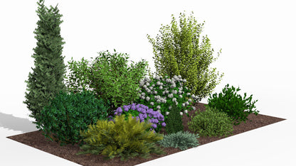 In summer the bed delights with the abundant blooming of white and purple hydrangeas against evergreen shrubs