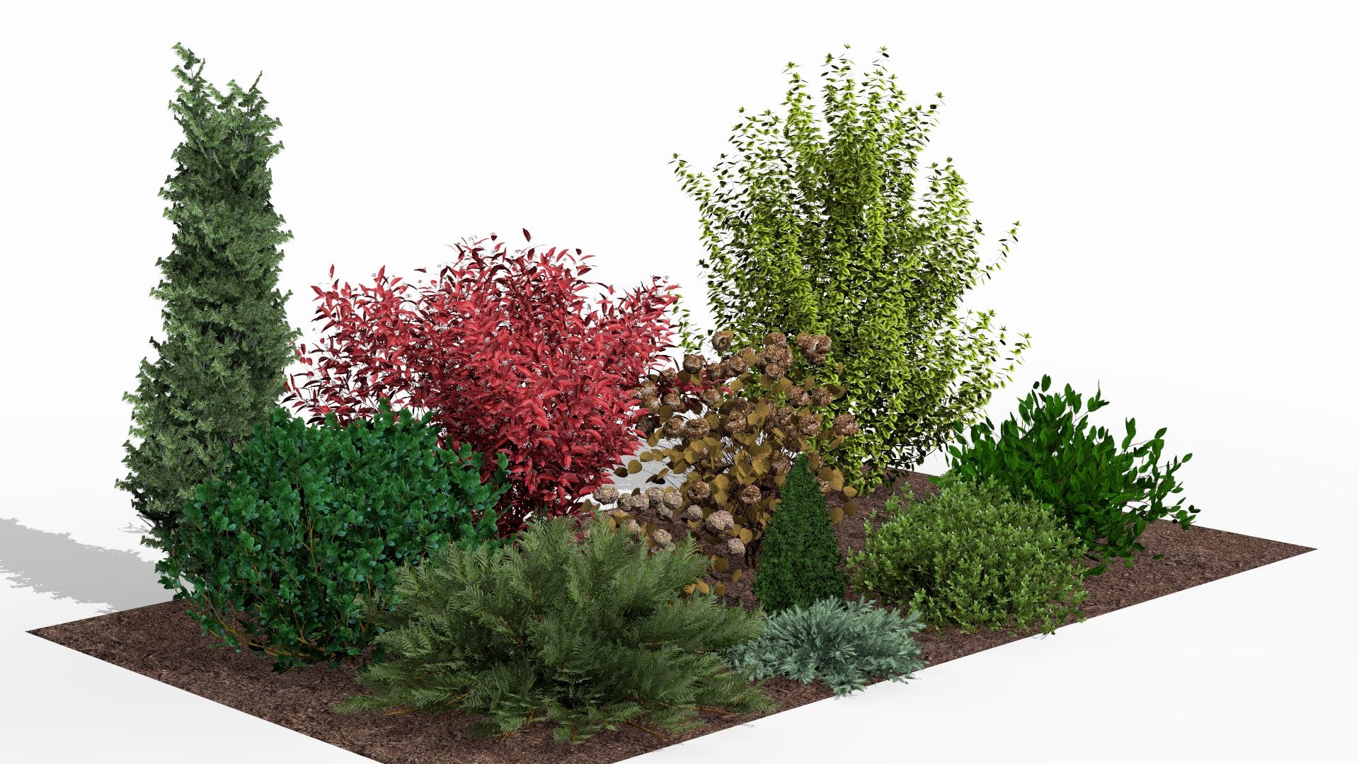 An autumn composition with an intense accent of red leaves, warm brown tones, and evergreen plants creates a harmonious spectacle of color