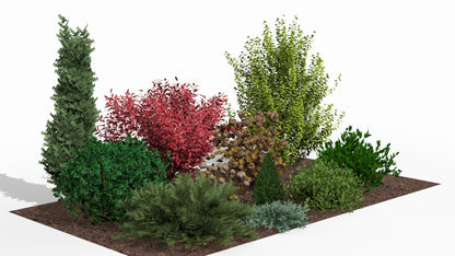An autumn composition with an intense accent of red leaves, warm brown tones, and evergreen plants creates a harmonious spectacle of color