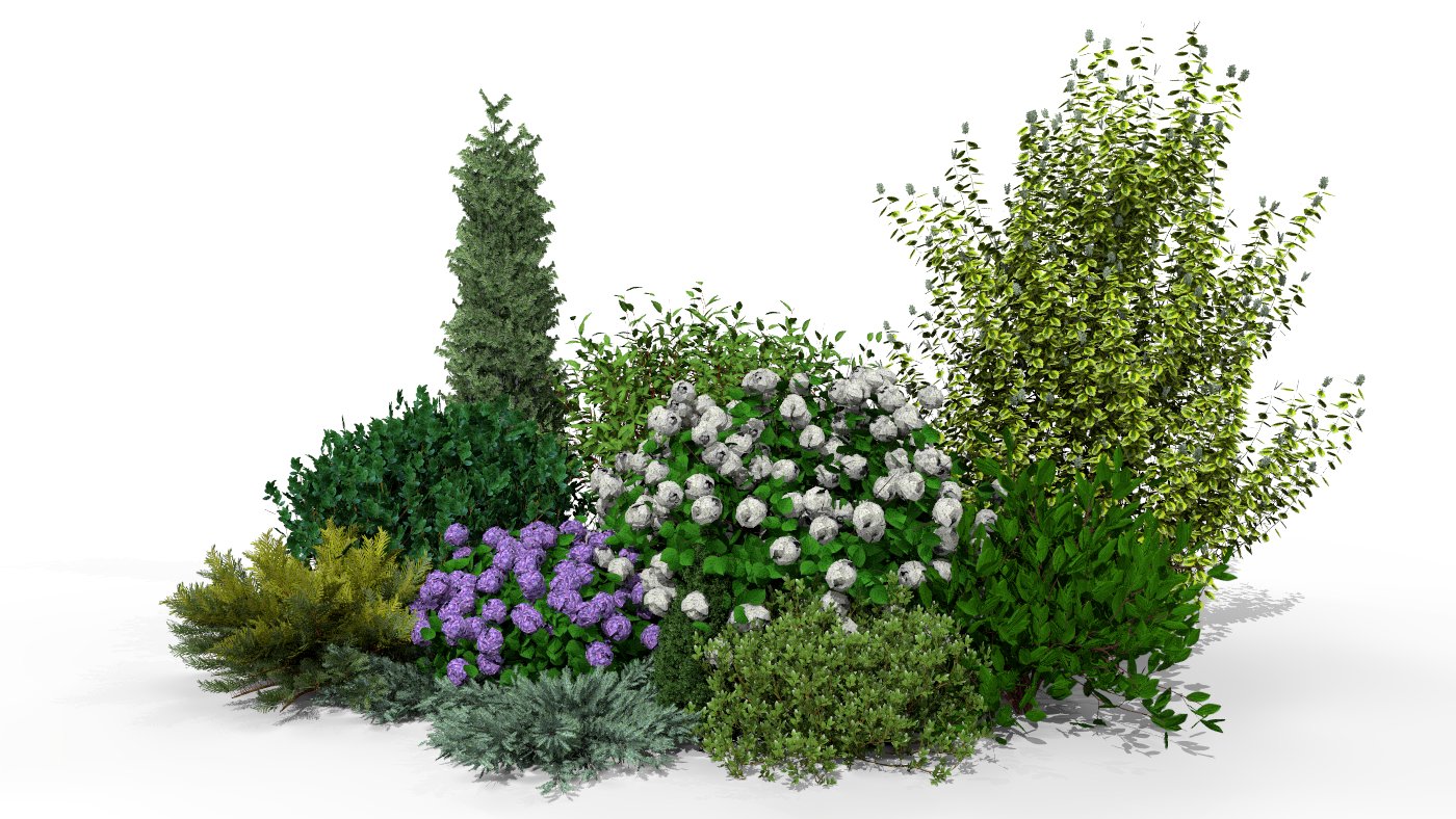 A summer bed teeming with life, where white and purple globes of hydrangea flowers dominate among varied shades of green and golden accents