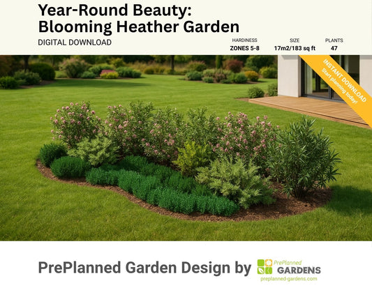 Blooming Heather Garden
