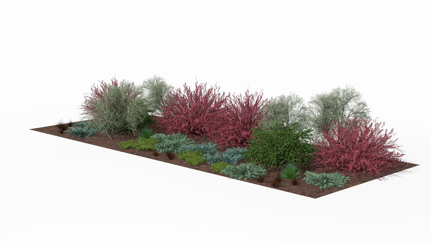 Spring awakening - fresh new growth and the first colorful accents