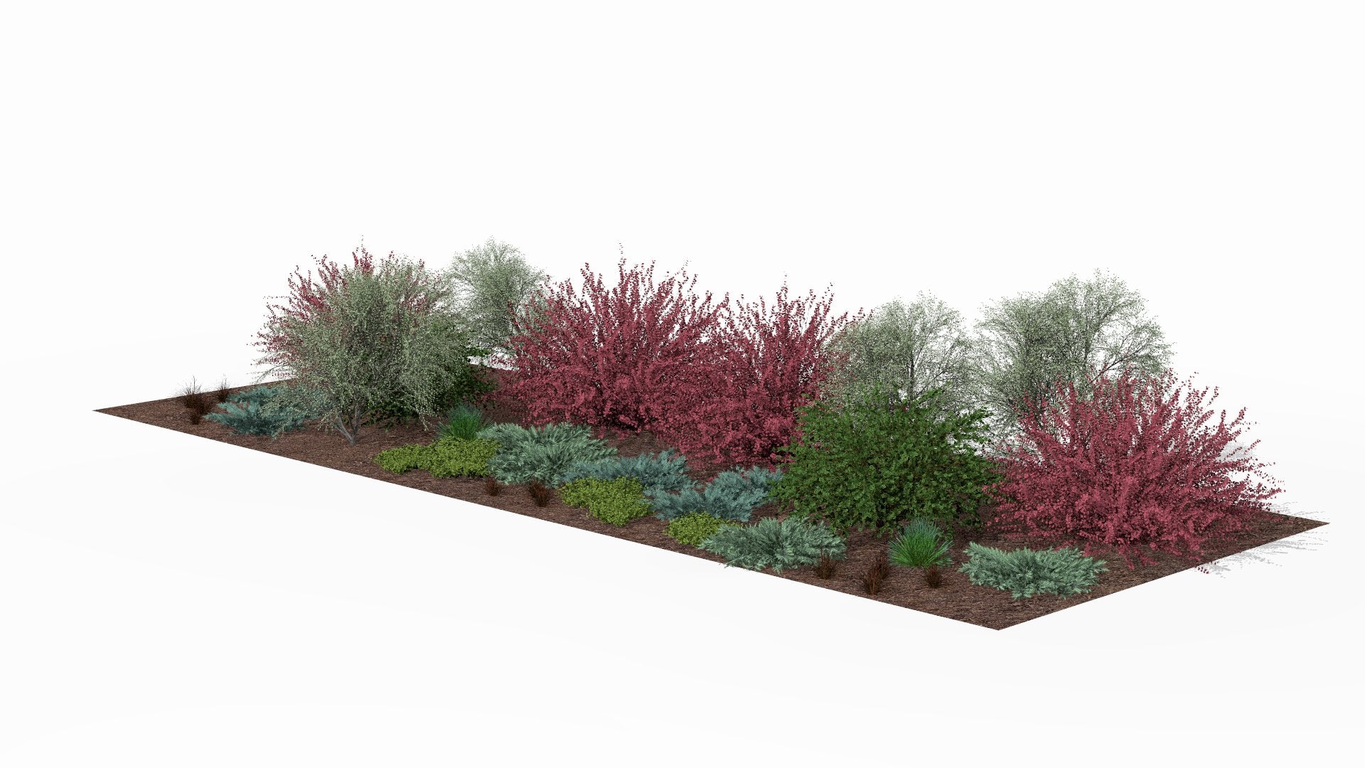 Spring awakening - fresh new growth and the first colorful accents