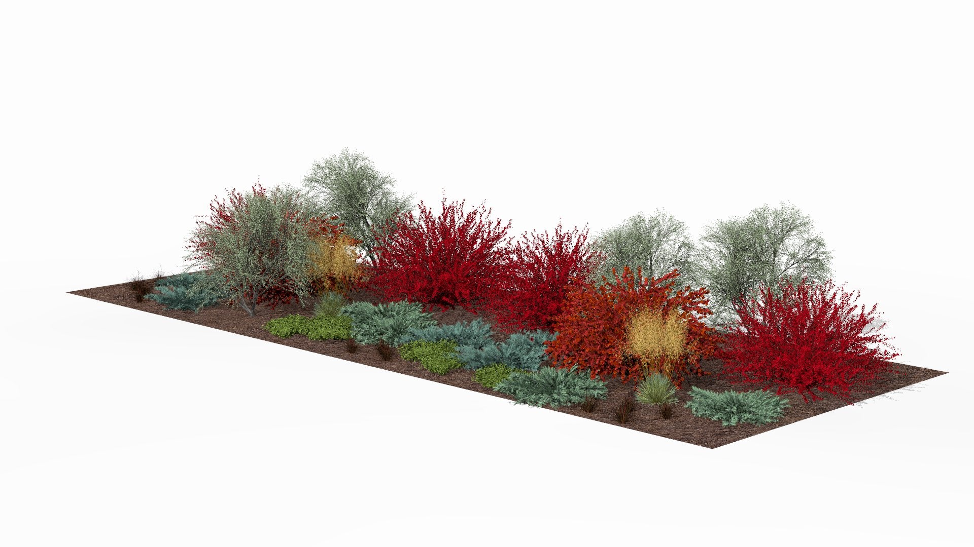 Autumn spectacle - fiery colors and golden accents in their full glory