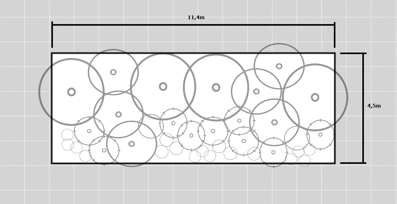 Garden bed plan with dimensions and plant placement
