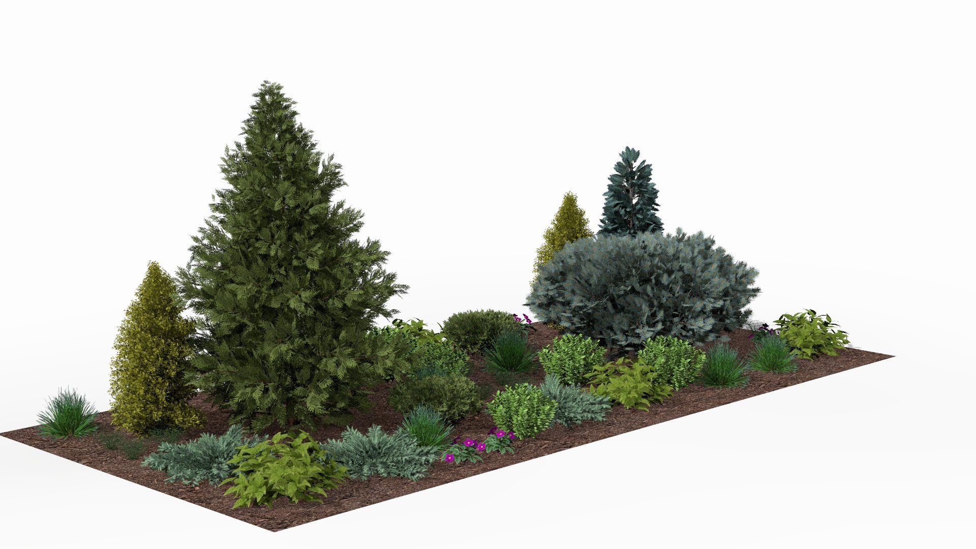 In spring the conifers come alive with fresh green growth, while the first flowering perennials add colorful accents between the dwarf shrubs