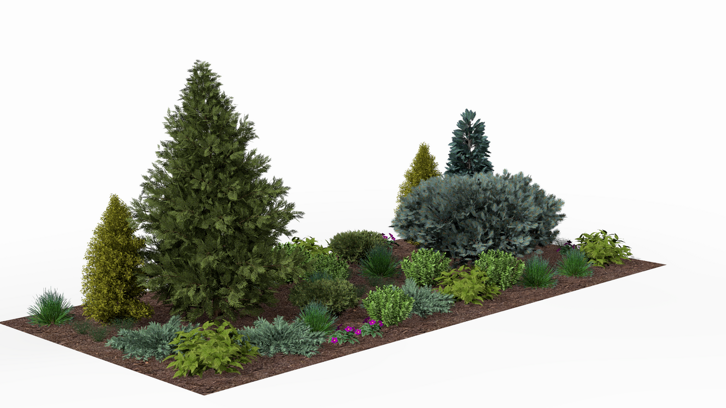 In spring the conifers come alive with fresh green growth, while the first flowering perennials add colorful accents between the dwarf shrubs