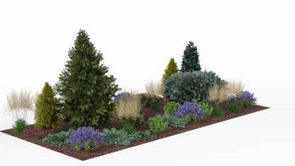 In summer the conifers form a green backdrop for lushly blooming perennials in shades of purple and pink, while golden ornamental grasses add movement and texture to the whole composition