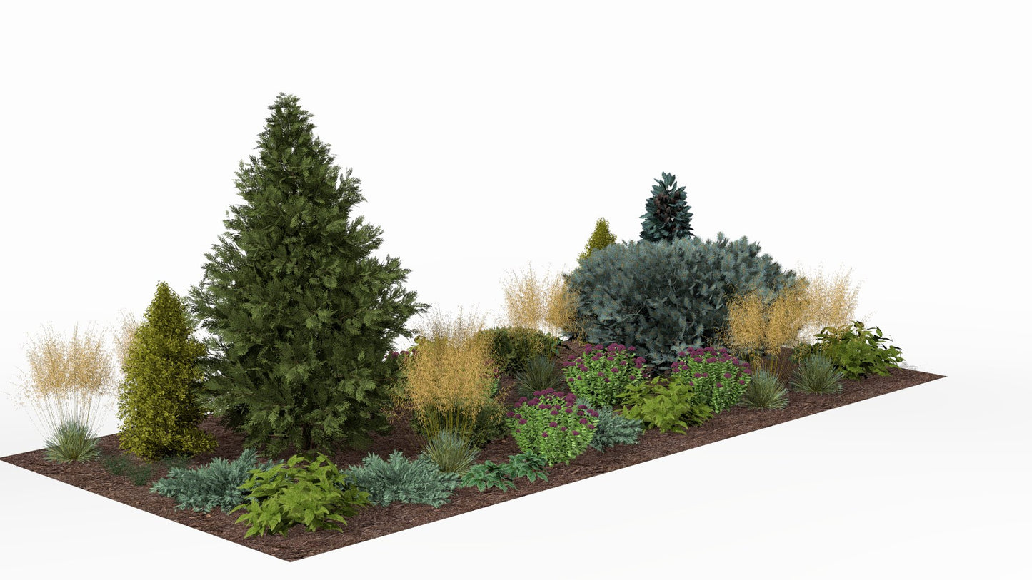 In autumn the green conifers provide a backdrop for golden ornamental grasses, while muted perennials round out the composition