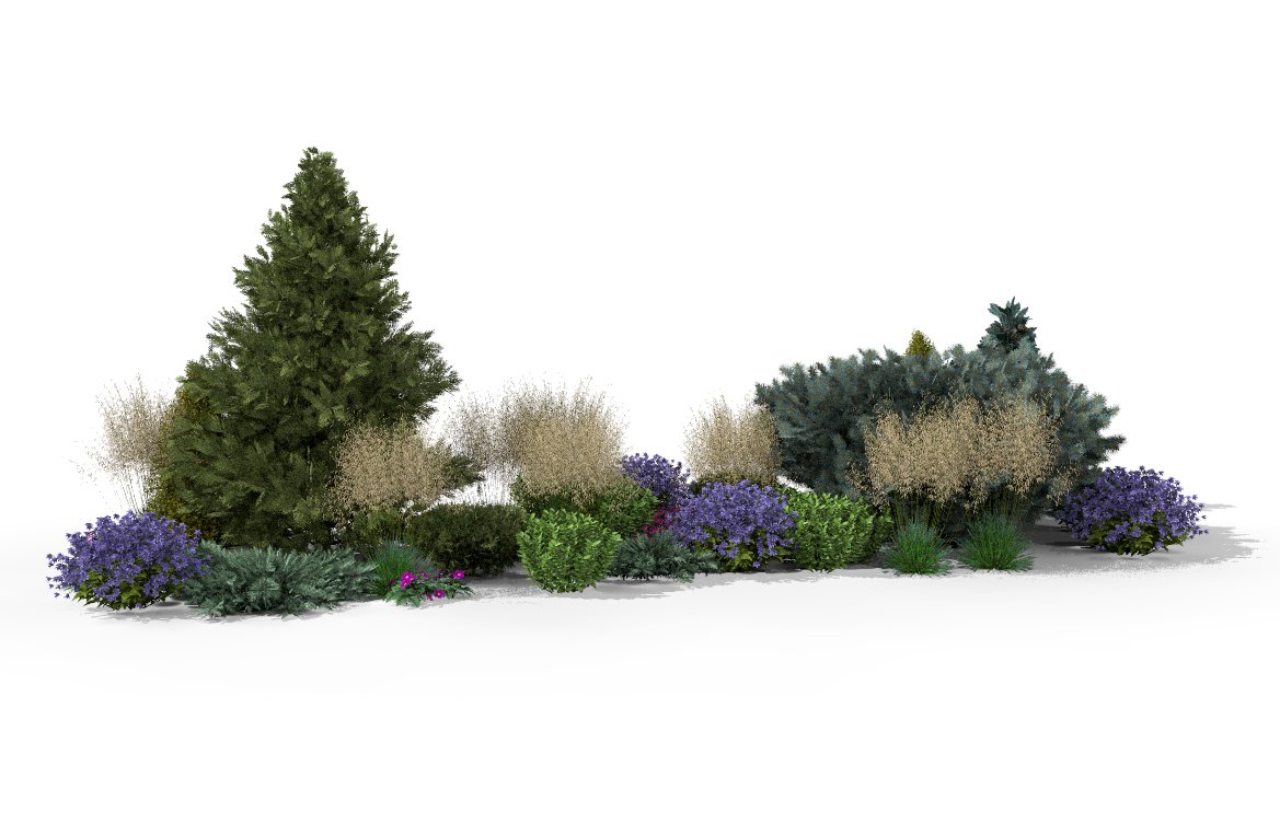 View of the rock garden bed in early summer - grasses contrasting with the geometric forms of conifers create a dynamic composition