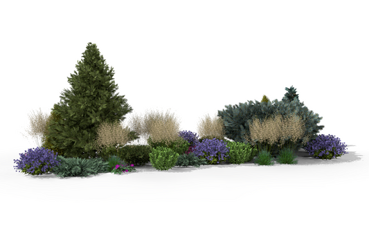 View of the rock garden bed in early summer - grasses contrasting with the geometric forms of conifers create a dynamic composition