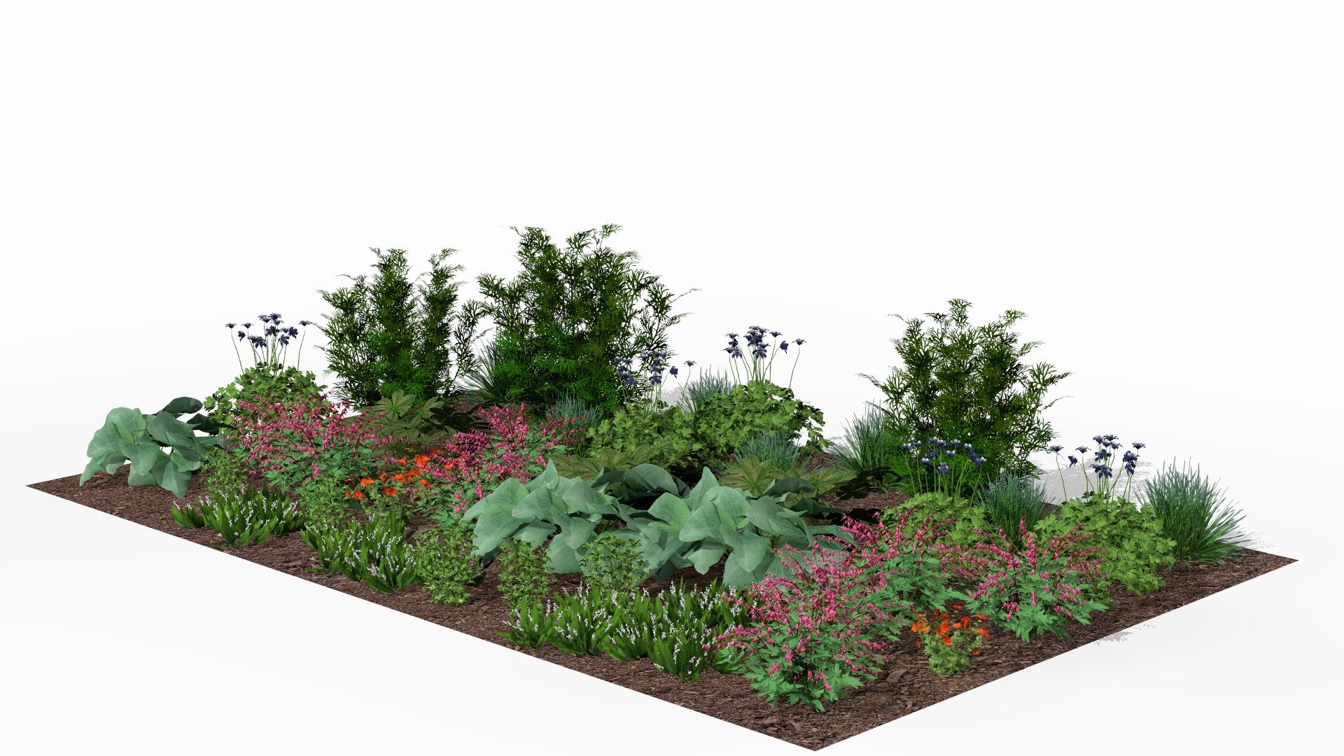 Spring visualization of the naturalistic perennial border for partial shade, with multicolored flowers and decorative leaves forming a harmonious arrangement