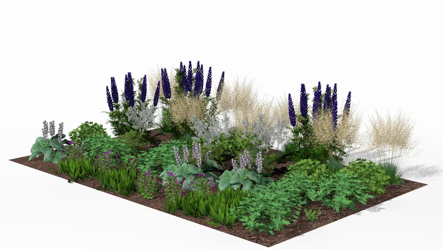 The border at the height of summer, with perennials in full bloom