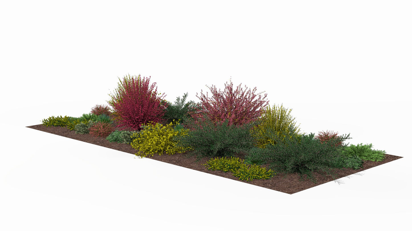View of the bed in spring, showing the planting structure and the start of the growing season