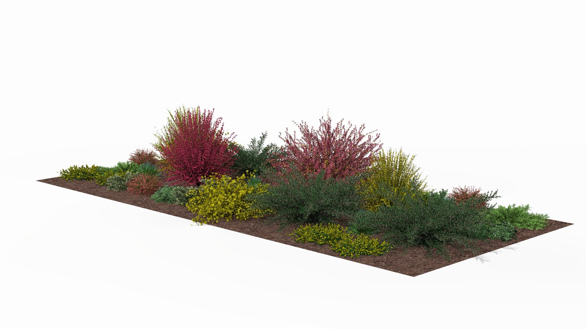 View of the bed in spring, showing the planting structure and the start of the growing season