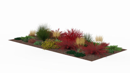 Autumn display of the bed with barberry leaves changing color and accents of decorative grasses