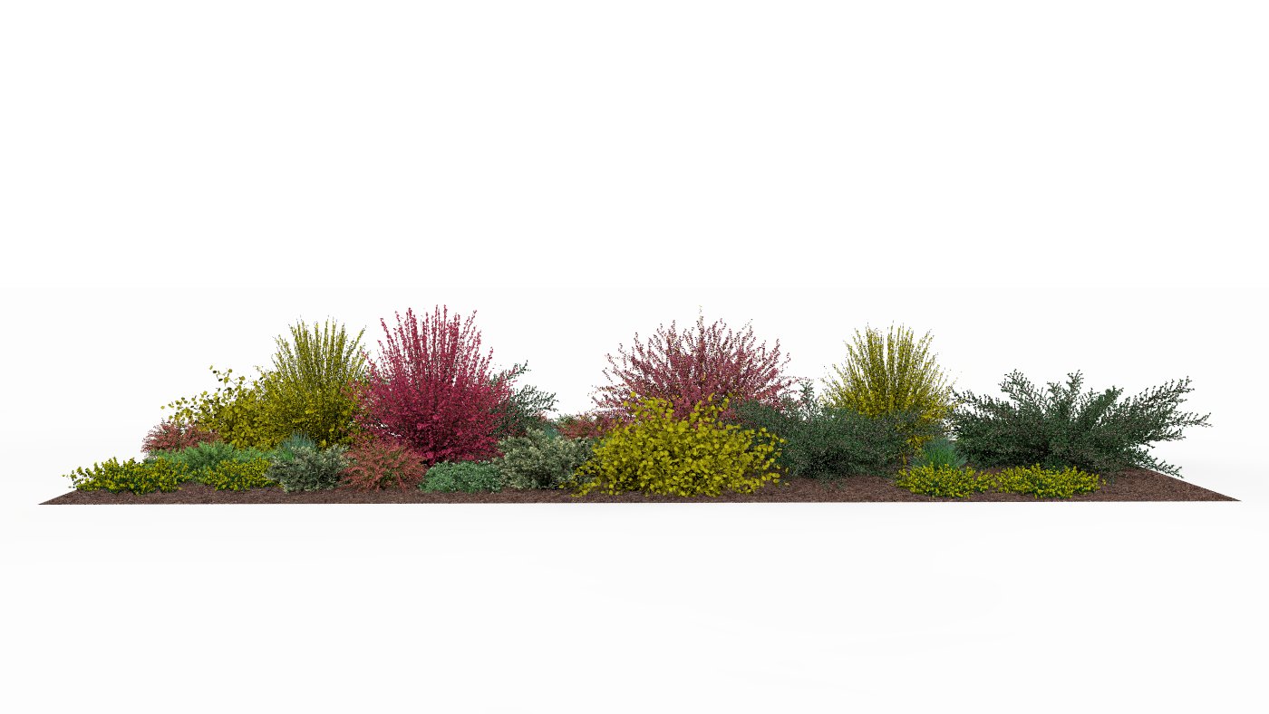 Spring view of the garden bed with plants awakening to life