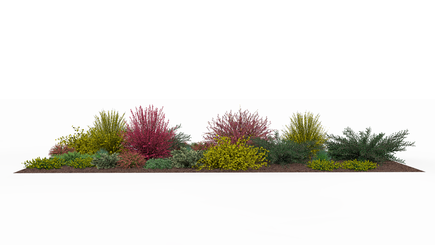 Spring view of the garden bed with plants awakening to life