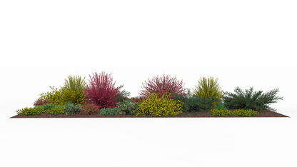 Spring view of the garden bed with plants awakening to life