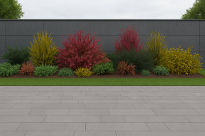 Spring flowering of the prostrate and upright brooms adds expressive accents to the composition