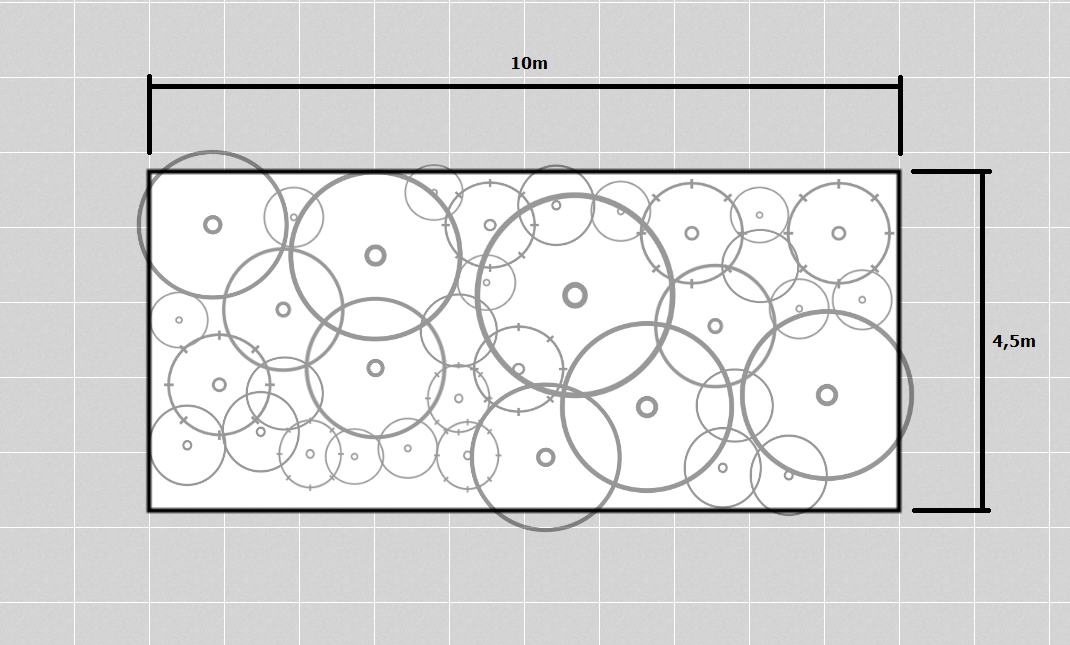 Garden bed plan with dimensions and plant placement