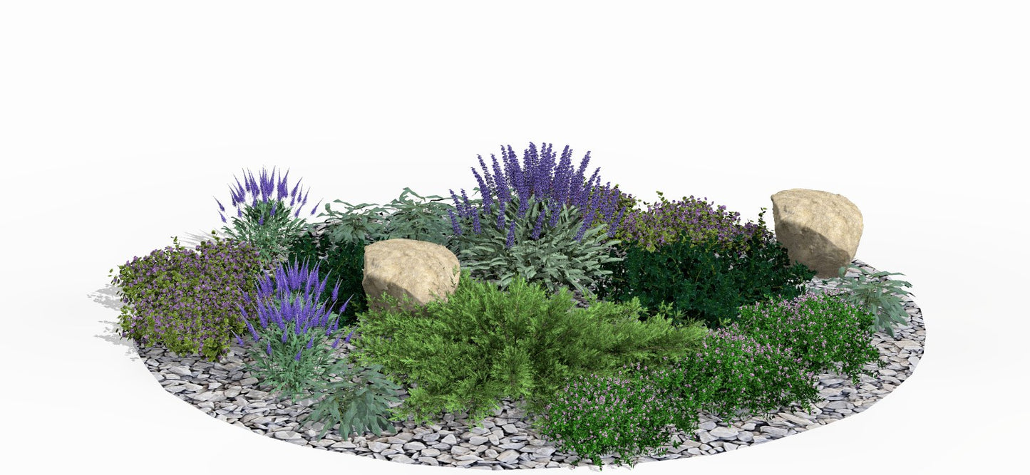 The bed in its summer display - purple speedwell spikes and silvery lamb's ear leaves form a colorful mosaic among stone accents
