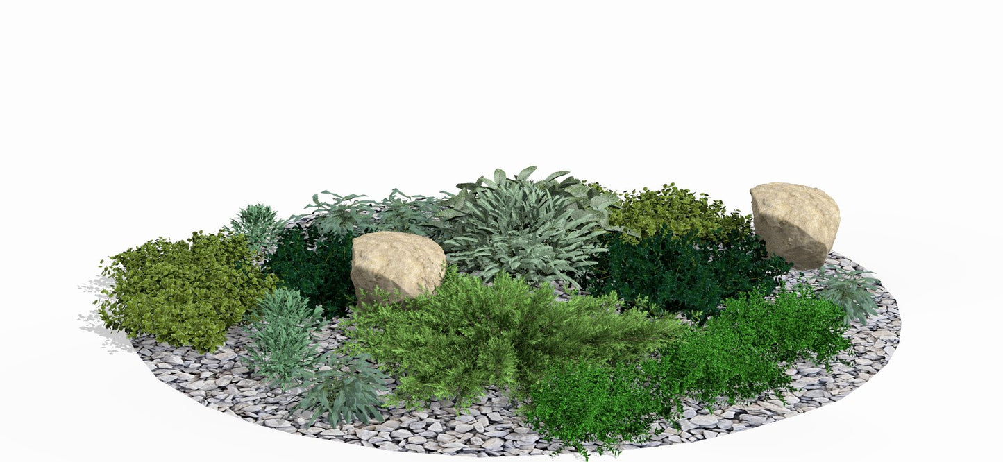 In autumn, the bed impresses with the structural composition of its evergreen plants