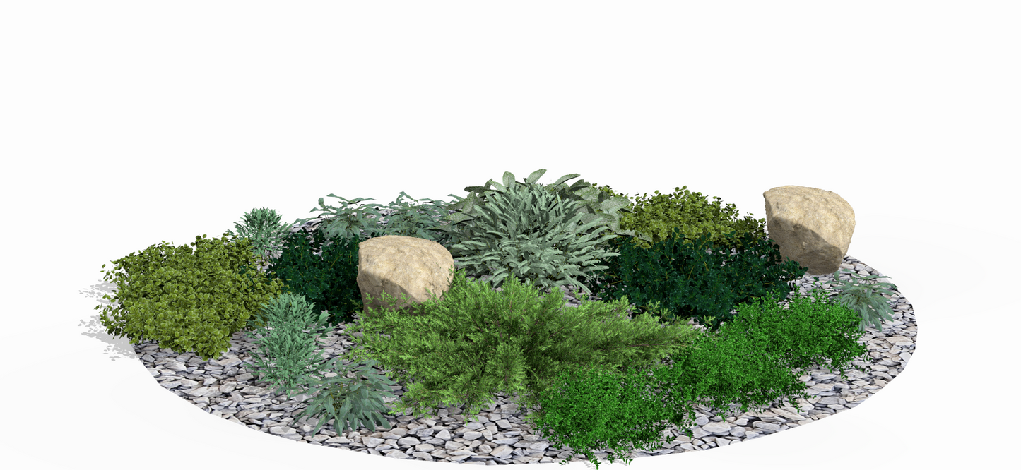 In autumn, the bed impresses with the structural composition of its evergreen plants