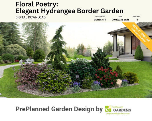 Floral Poetry - Elegant Hydrangea Border Garden