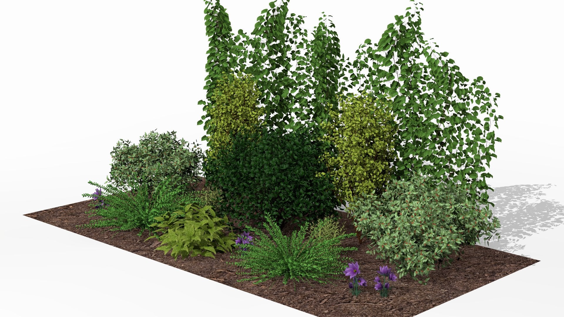 Spring awakening of the flowering garden screen, with blooming perennials in the foreground